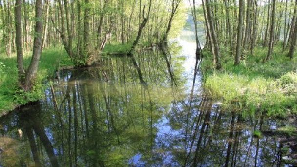 Озеро Пинноер в Дюссельдорфе