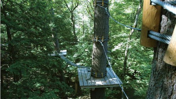 Парк развлечений Eagle Сrest Aerial в Онтарио