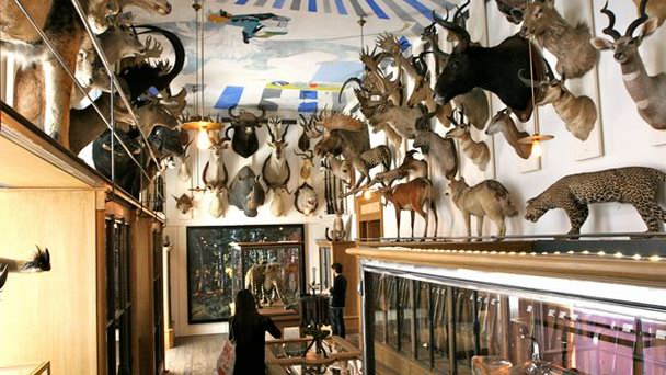 Musee de la Chasse et de la Nature в Париже Musee de la Chasse et de la Nature в Париже