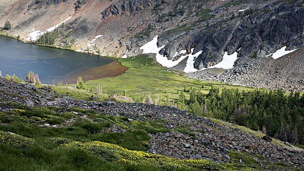 Кафедральный парк-заповедник в Британской Колумбии (фото)