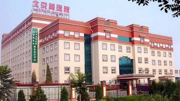 Тибетский центр традиционной китайской медицины в Пекине Тибетский центр традиционной китайской медицины в Пекине