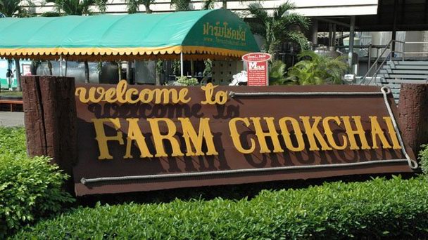 Молочная ферма «Чокчай» в Пак Чонг в Накхонратчасиме