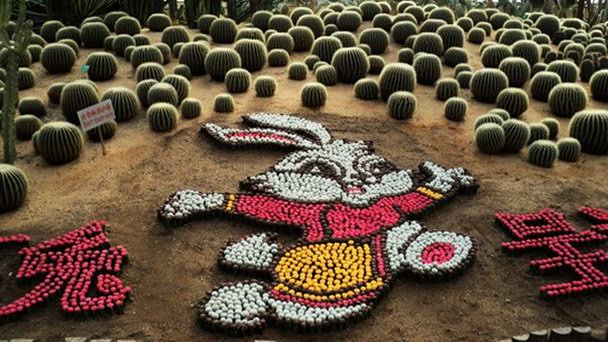 Сад обозрения цветов мира в Пекине