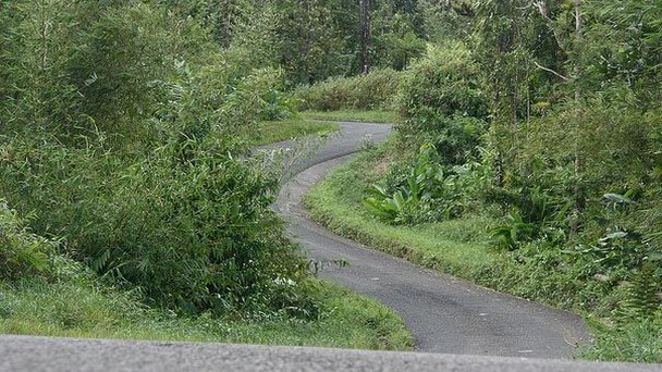 Тропа Рут-де-ля-Трас в Мартинике Тропа Рут-де-ля-Трас в Мартинике