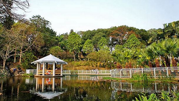 Природный парк у озера Керри Эгрет в Гонконге