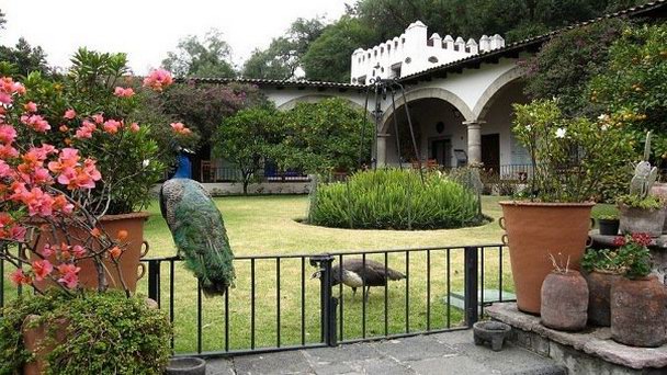 Музей Долорес Ольмедо Патино в Мехико