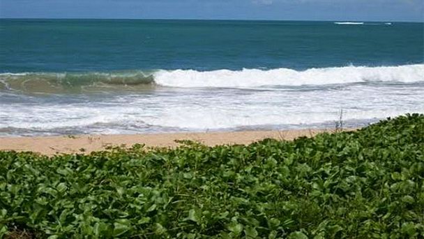 Пляж Jacarecica в Масейо