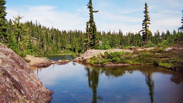 Парк Стамп Ривер в Британской Колумбии