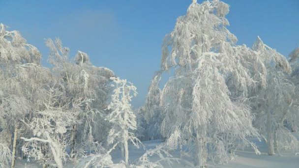 Аджигардак в Аше