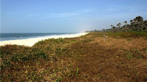 Лесной парк Биджило в Банжуле