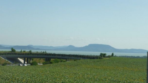 Мост для животных в Будапеште