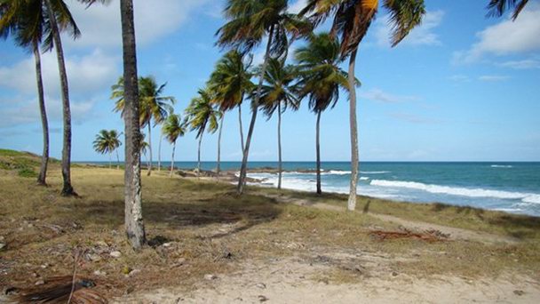 Пляж Enseada dos Corais в Баии