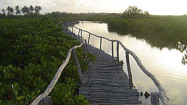 Озеро Кахора Басса в Тете