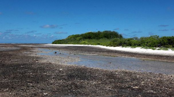 Остров Норт-Бразерс на о-вах Лайне Остров Норт-Бразерс на о-вах Лайне