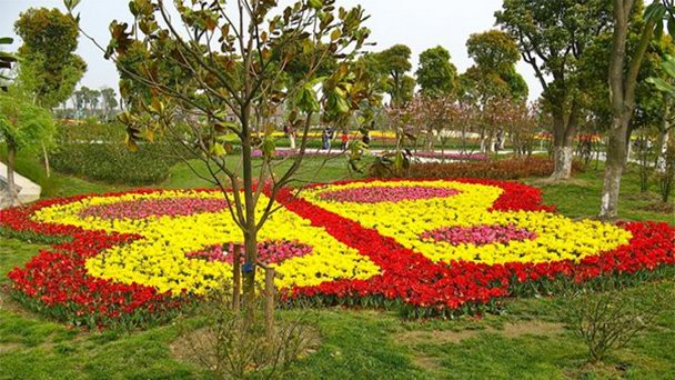 Парк цветов в Шанхае в Шанхае Парк цветов в Шанхае в Шанхае