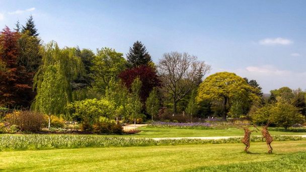 Харлой Карр Гарденз в Англии