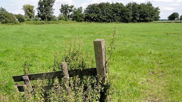 Руины замка Ter Eem в Утрехте Руины замка Ter Eem в Утрехте