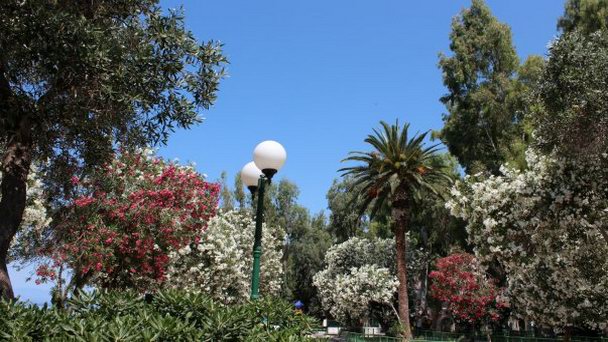 Городской парк г.Лутраки в Лутраках