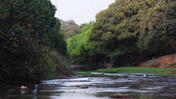 Национальный парк Арли в Уагадугу Национальный парк Арли в Уагадугу