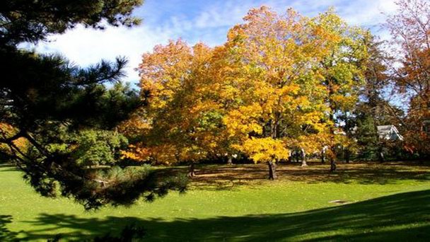 Парк Гейдж в Онтарио Парк Гейдж в Онтарио