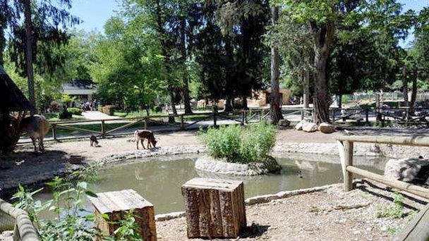 Люблянский зоопарк в Любляне