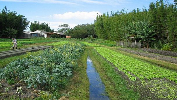Остров моряков в Риу-Гранди-ду-Суле
