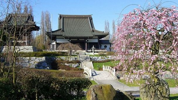 Японский квартал в Дюссельдорфе