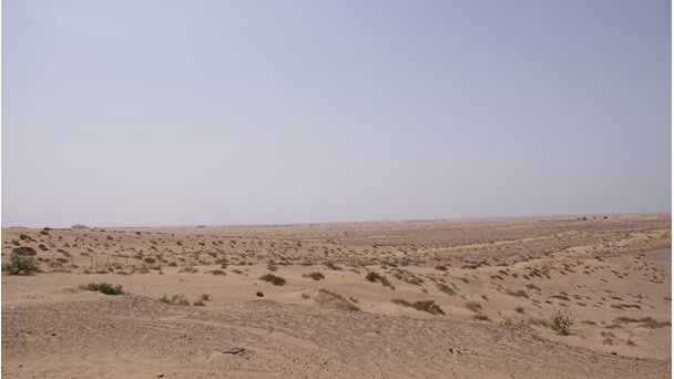 Пустыня в ОАЭ в Шардже Пустыня в ОАЭ в Шардже