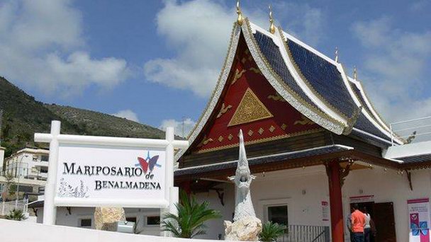 Парк бабочек Бенальмадены в Коста дель Соль Парк бабочек Бенальмадены в Коста дель Соль
