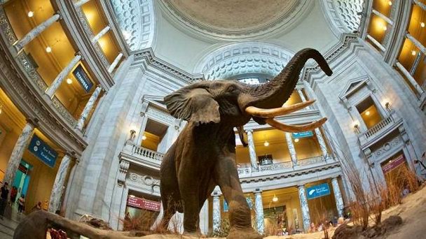 Выставочный зал J.M. Cruxent в Каракасе