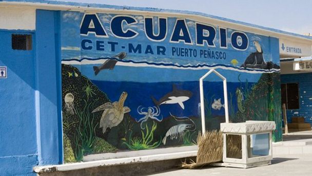 Океанариум Cet-Mar в Соноре
