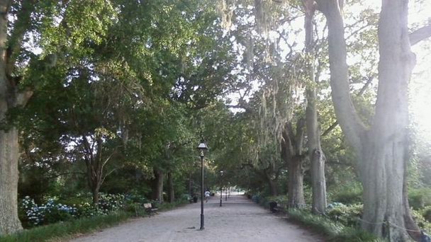 Парк Хэмптон в Оттаве