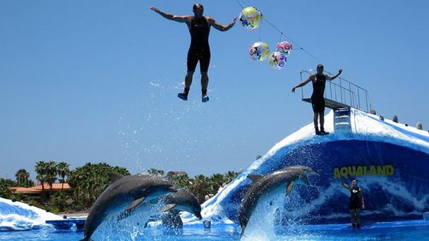 Аквапарк Aqualand Octopus на Канарских островах