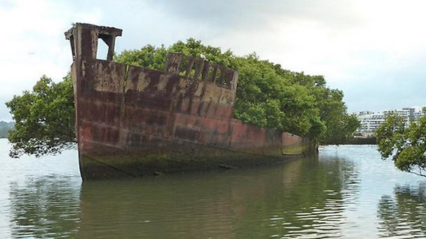 Обломки корабля «Ayrfield» в заливе Хомбуш в Сиднее