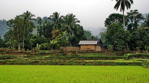 Деревня Черных Таев в Хюэ Деревня Черных Таев в Хюэ