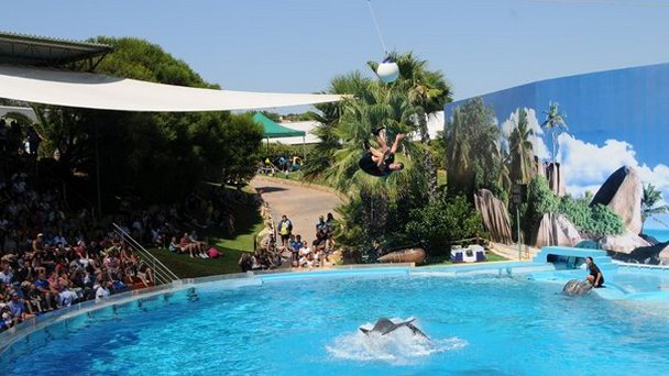 Парк Зоомарине в Алгарве