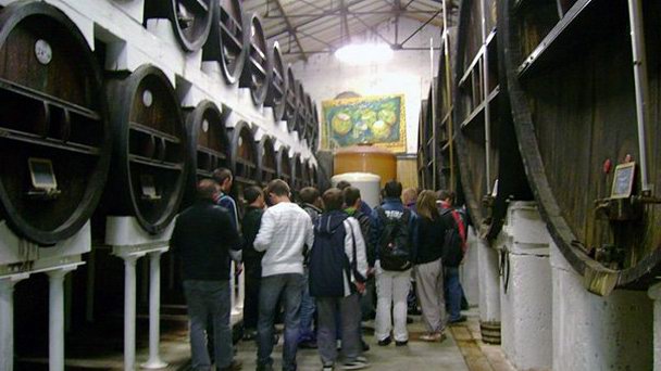 Погреба Фронтиньяна в Лангедок-Руссильоне