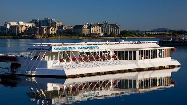 Тихоокеанские подводные сады в Британской Колумбии