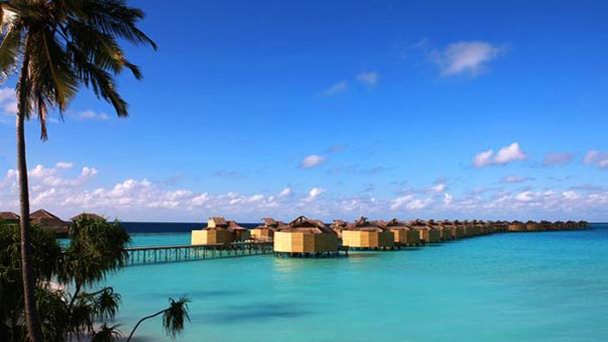 Атолл Лаaму в Лааму Атолл