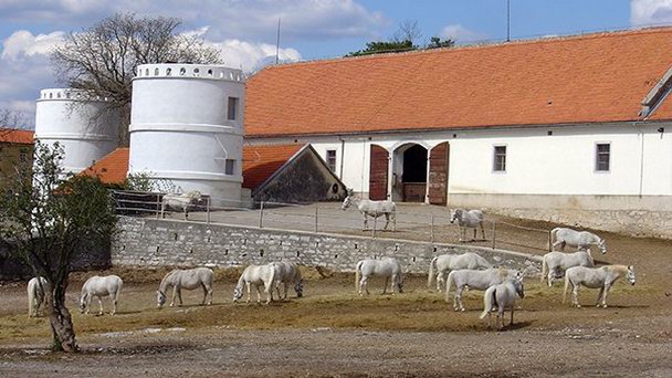 Конезавод Липица в Любляне