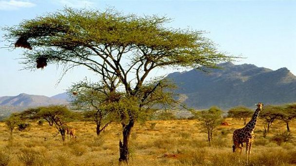 Национальный заповедник Самбуру