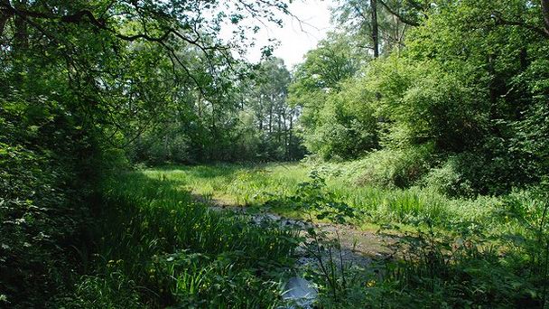 Руины Ханенборг в Оверэйселе