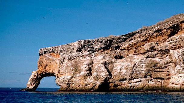 Остров Plaza Sur на Галапагосских островах Остров Plaza Sur на Галапагосских островах