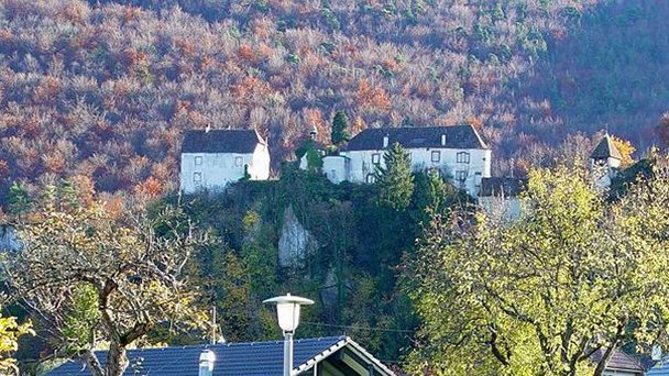 Замок Бург в Аргау