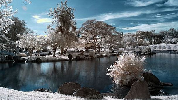 Сингапурский китайский сад