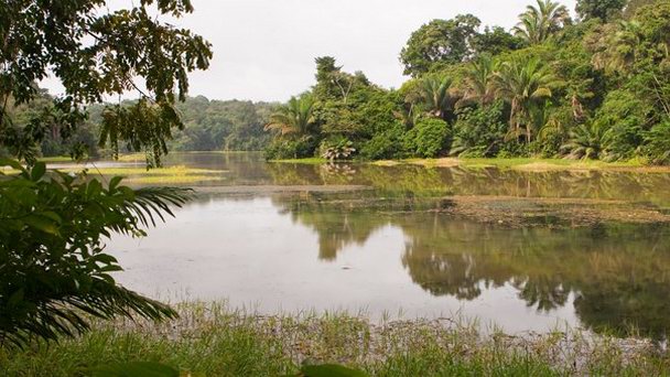 Национальный парк Соберания в Панаме Национальный парк Соберания в Панаме