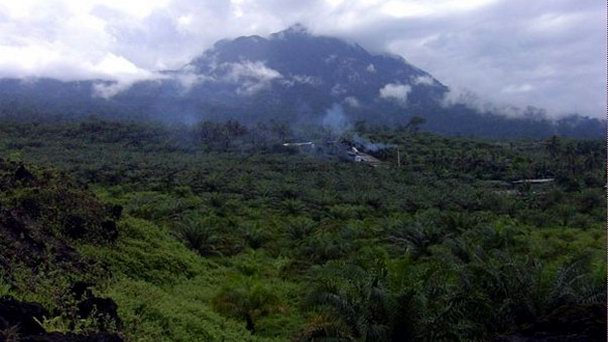 Парк Синианка-Миниа в Нджамене