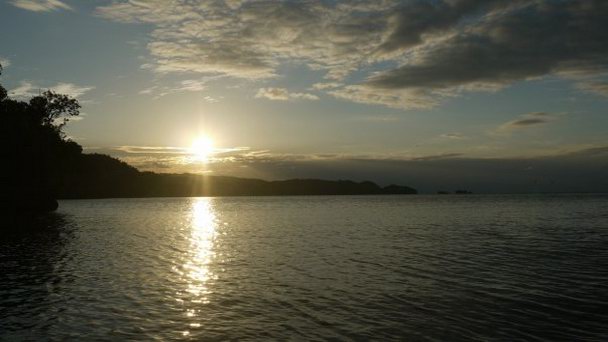 Национальный парк Лос Айтисес в Самане Национальный парк Лос Айтисес в Самане