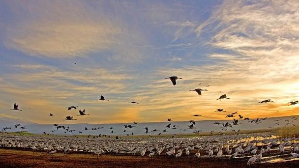 Долина Хула в Рош Пине