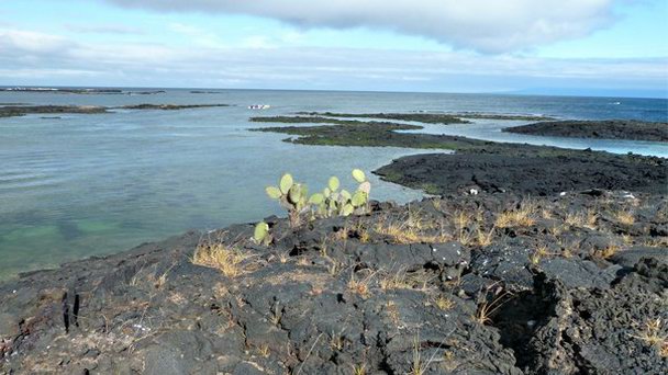 Бухта Элизабет на Галапагосских островах